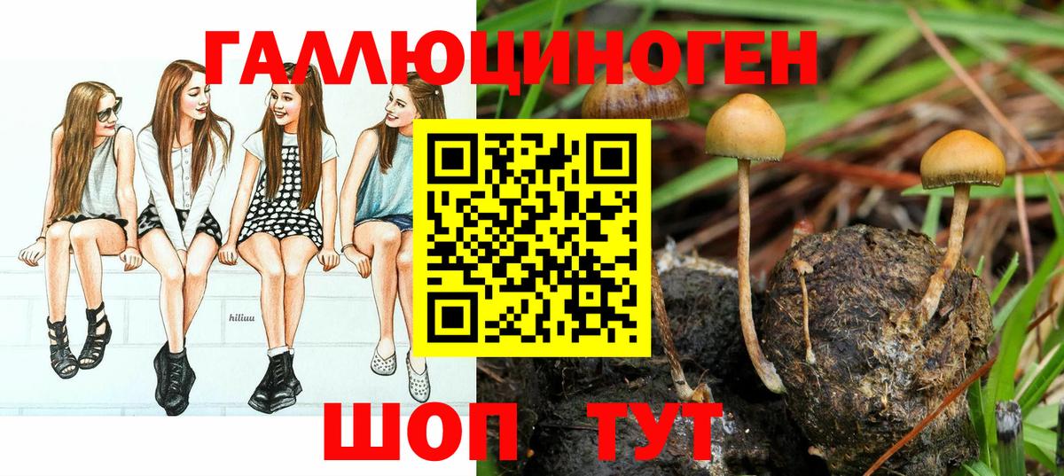 Чапаевск  Псилоцибиновые грибы GOLDEN TEACHER  Псилоцибиновые грибы Cubensis  Вход с VPN 
