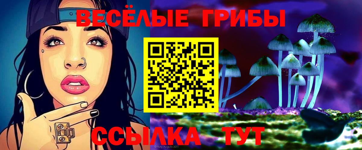 Псилоцибиновые грибы мухоморы Чапаевск